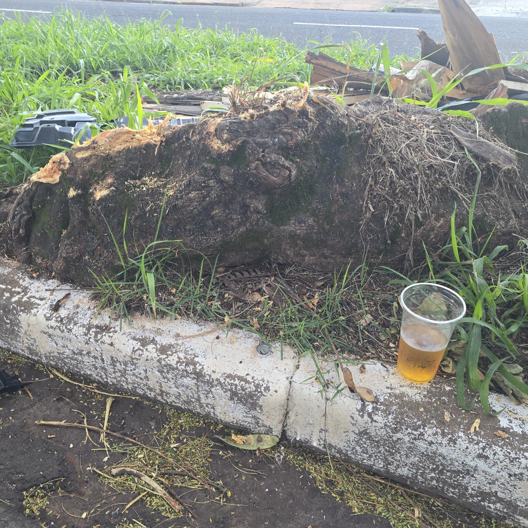 Automóvel capota após atingir raiz de árvore em avenida de Maringá
