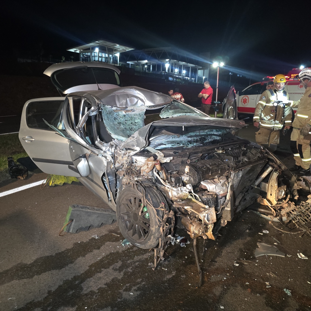 Batida entre Peugeot e caminhão deixa motorista ferido na PR-317