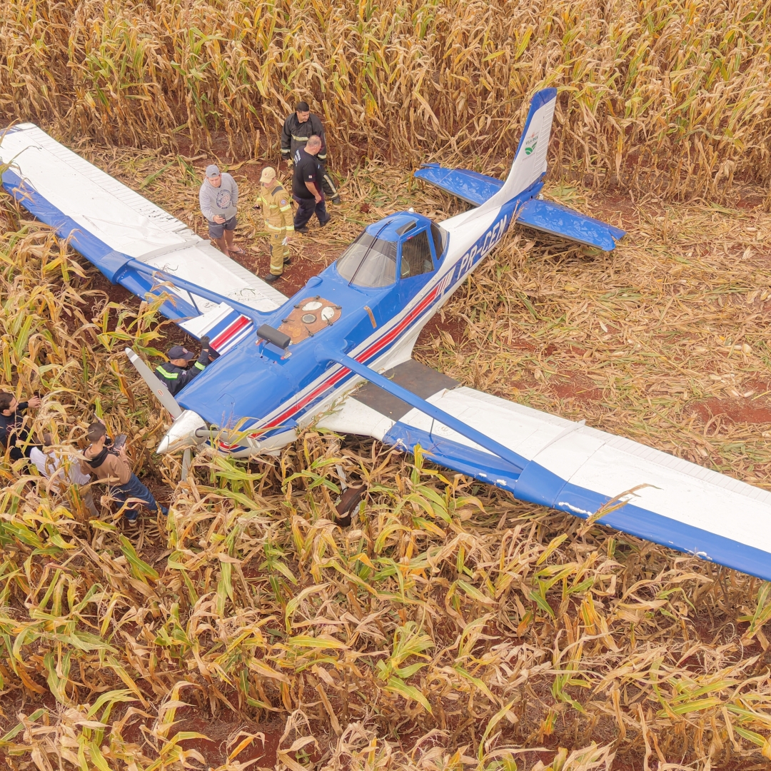 Falha na cauda obriga piloto a pousar avião em plantação de milho na região de Marialva