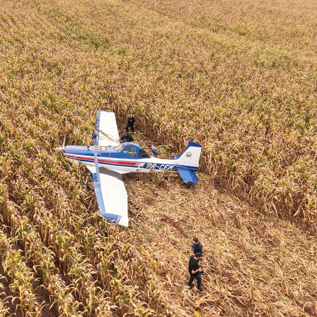 Falha na cauda obriga piloto a pousar avião em plantação de milho na região de Marialva
