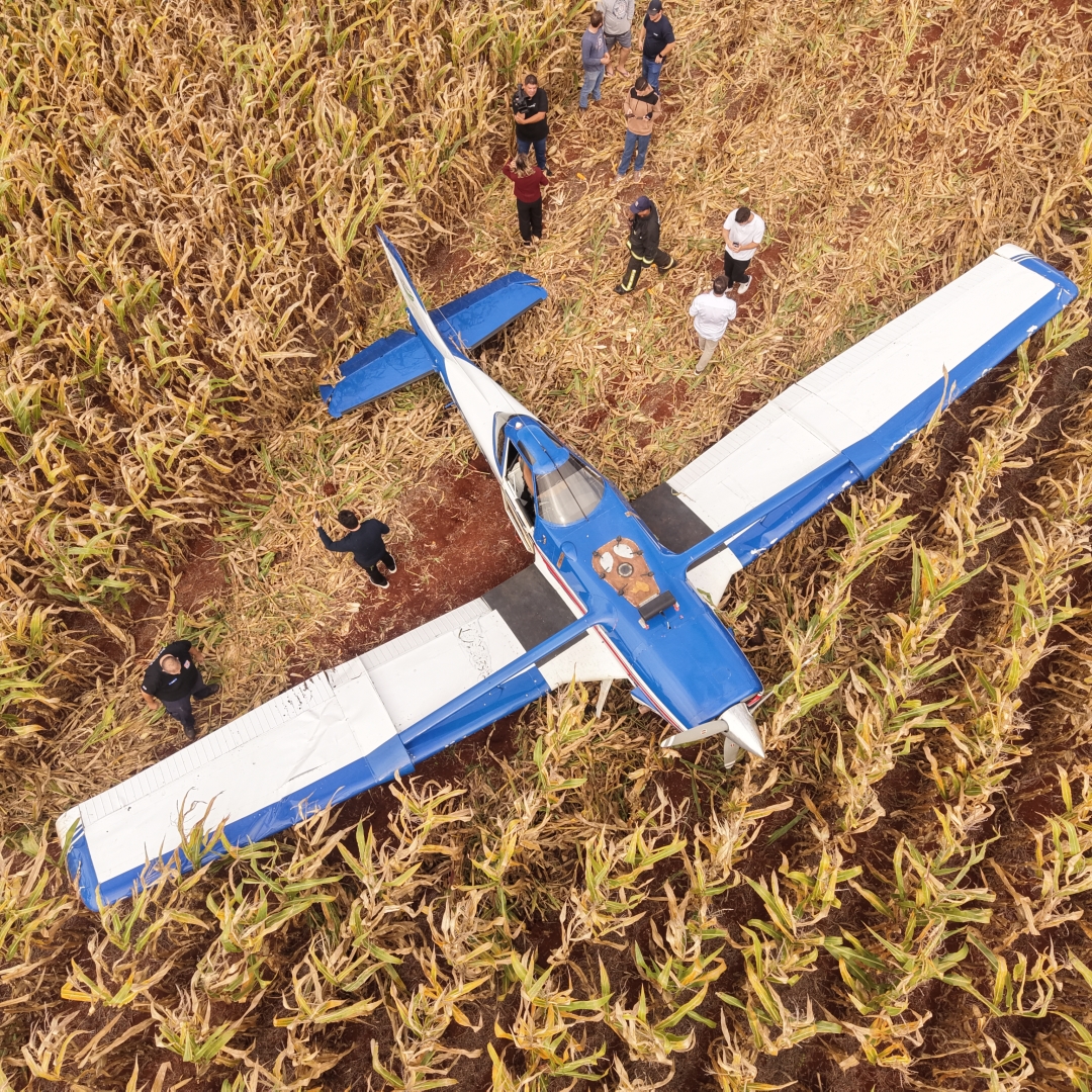 Falha na cauda obriga piloto a pousar avião em plantação de milho na região de Marialva