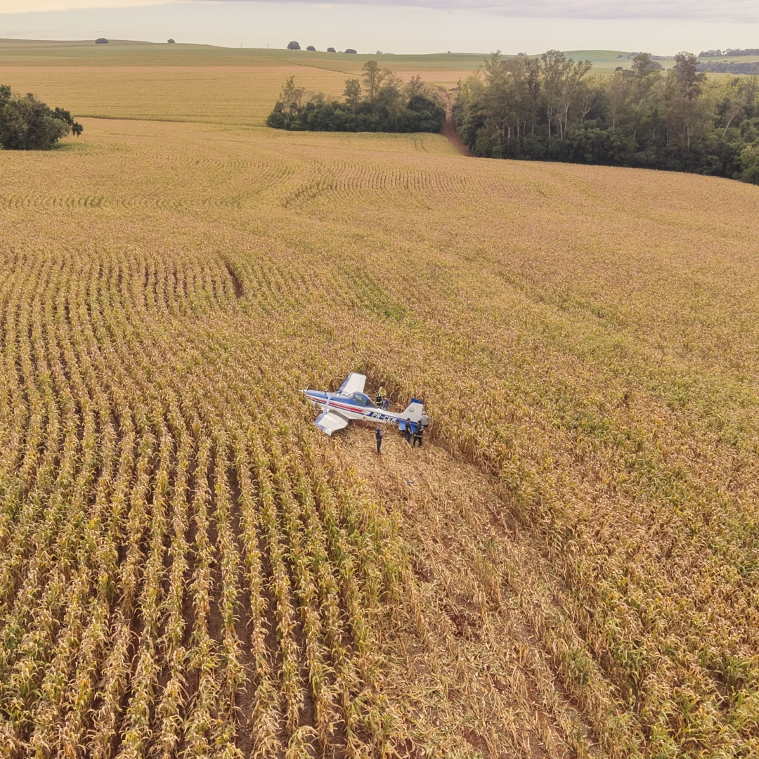 Falha na cauda obriga piloto a pousar avião em plantação de milho na região de Marialva