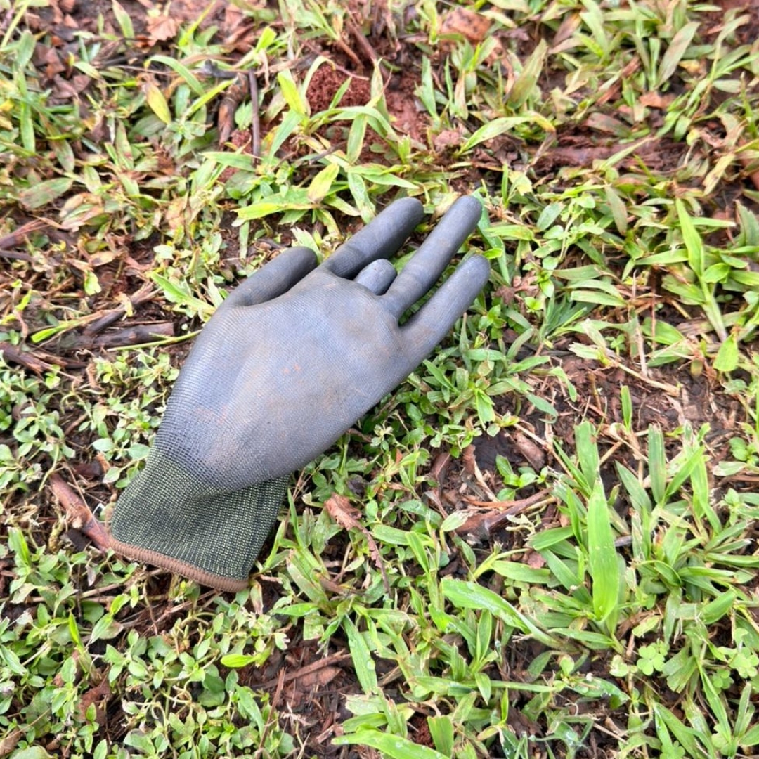 Criminosos invadem propriedade rural em Marialva e causam prejuízo de R$ 40 mil em apenas seis minutos