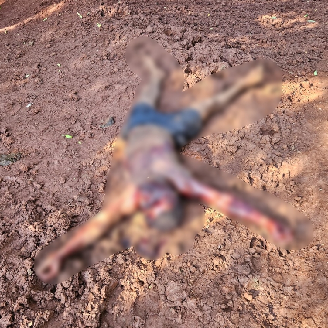 Crime brutal em Marialva: homem é encontrado morto com ferimentos na cabeça e dois suspeitos acabam detidos