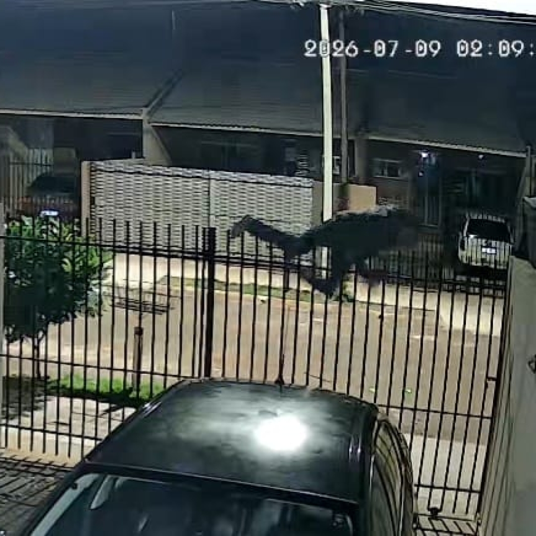 Polícia Civil reconhece indícios de legítima defesa e libera morador após morte de invasor em Sarandi