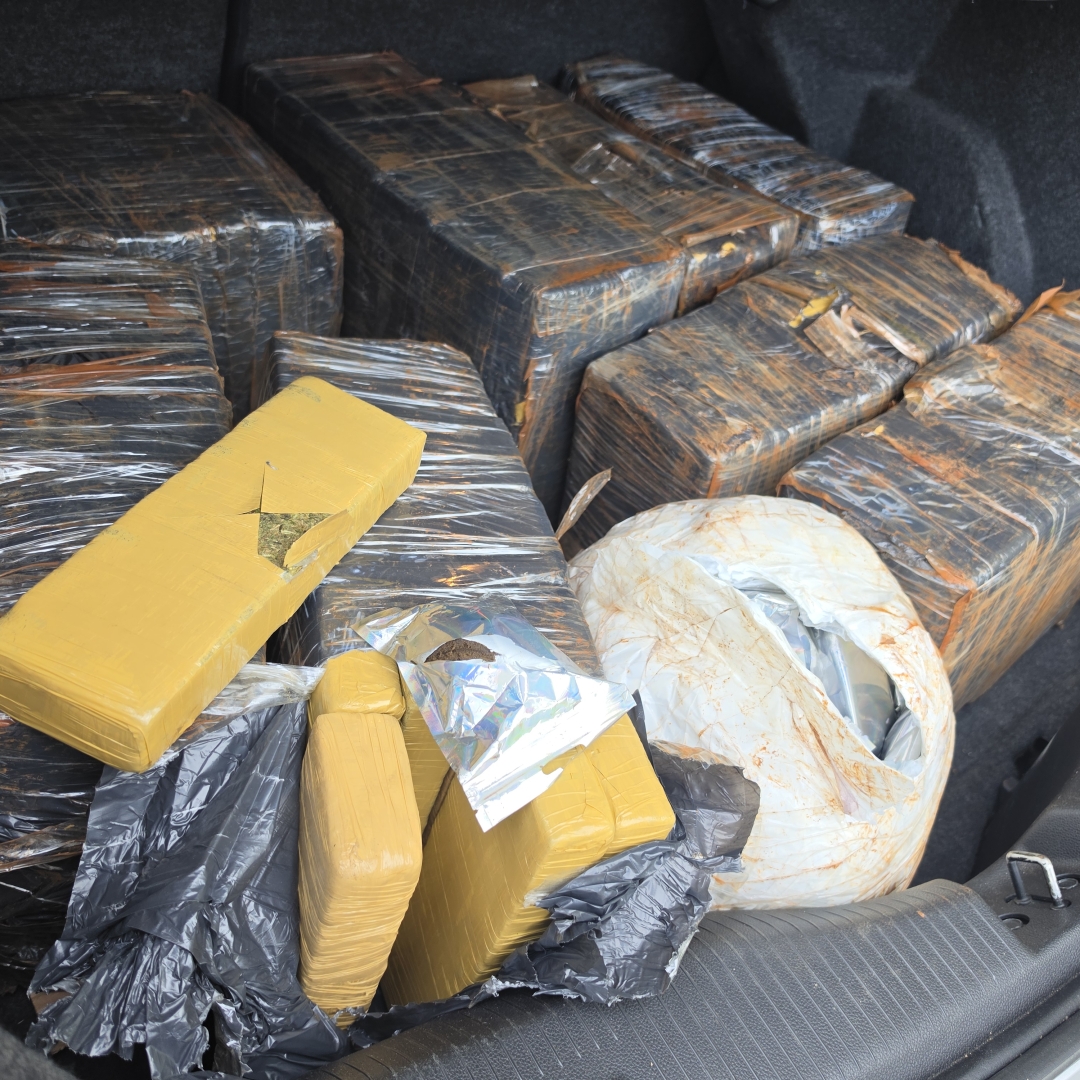 Motorista foge da polícia, abandona carro em milharal e deixa carga milionária de drogas