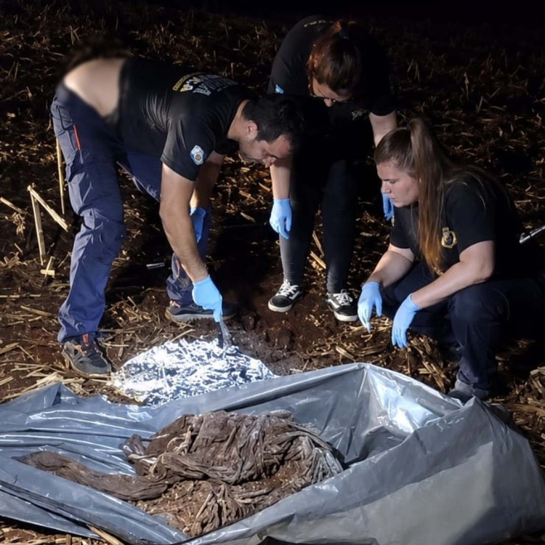 Ossada e projéteis são encontrados na zona rural de Floresta