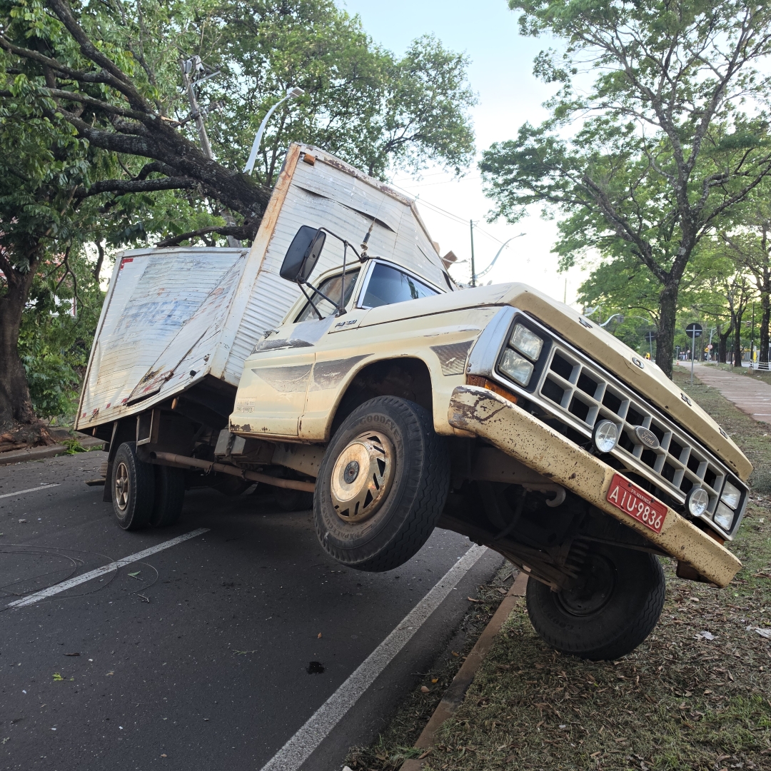 Árvore derruba fiação, deixa avenida no escuro e provoca acidente com F-4000 em Maringá