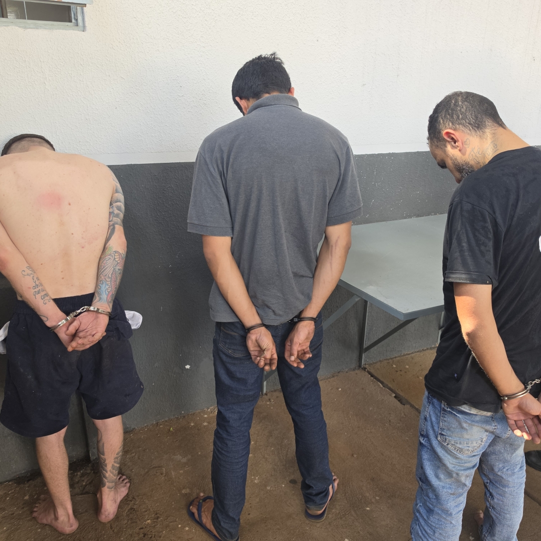 Cão farejador encontra droga escondida em forro e ROMU prende três em Maringá