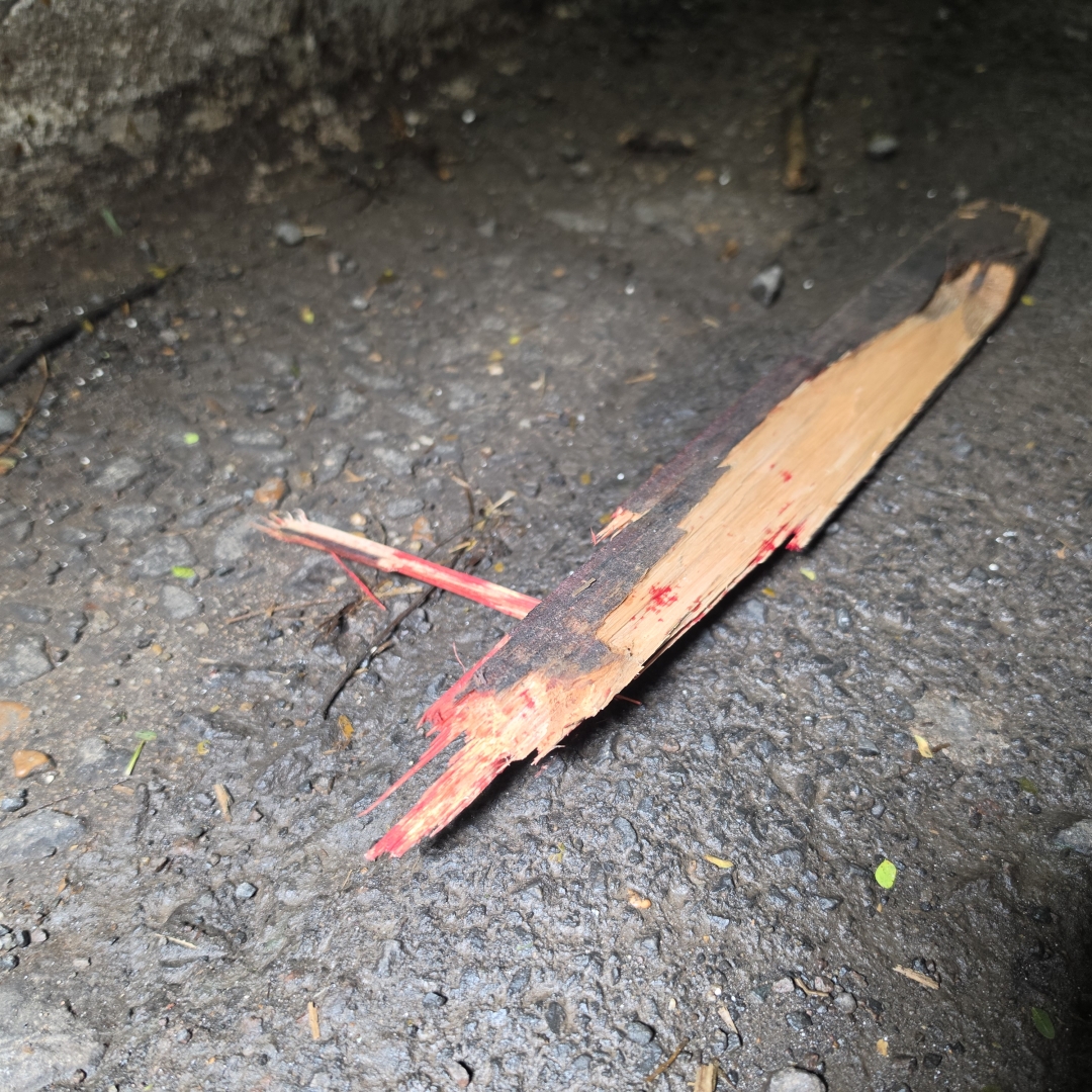 Homem é brutalmente assassinado a pedradas e pauladas na Zona 2, em Maringá; três suspeitos são detidos