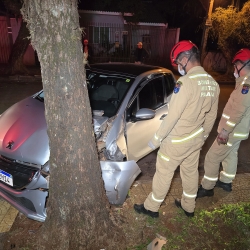 Mulher fica ferida após motorista bater carro contra árvore