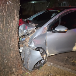 Mulher fica ferida após motorista bater carro contra árvore