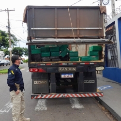 Carreta carregada de maconha é apreendida na rodovia BR-376