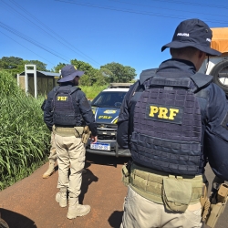 PRF apreende mais de 200 quilos de maconha na rodovia BR-376 