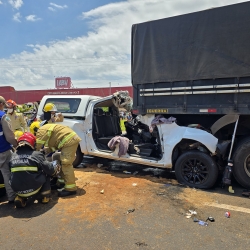 Motorista que morreu de acidente na rodovia de Mandaguari era médico veterinário