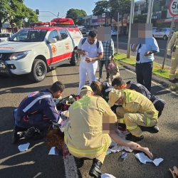 Mulher de 25 anos fica em estado gravíssimo após ser atropelada por ônibus coletivo