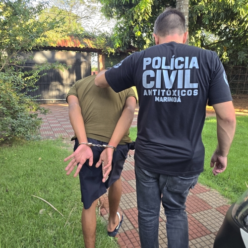Setor Antitóxicos da Polícia Civil de Maringá fecha laboratório de maconha