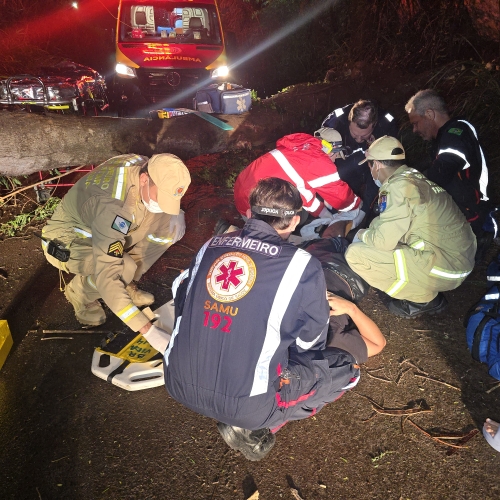 Árvore cai durante temporal e atinge motociclista em Maringá