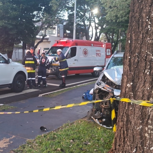 Motorista perde controle de Fiat Toro, invade ciclovia e colide violentamente contra árvore