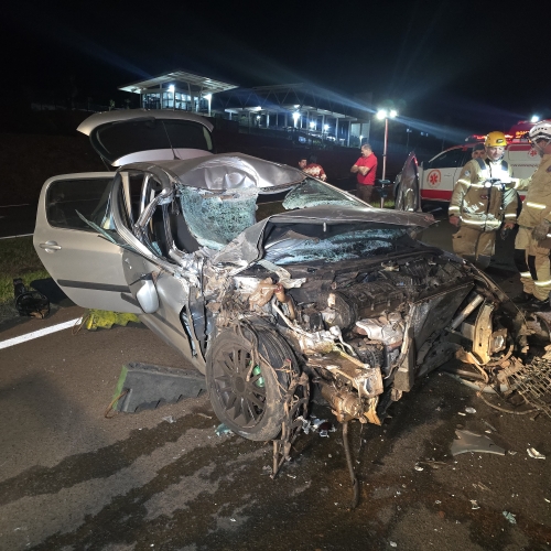 Batida entre Peugeot e caminhão deixa motorista ferido na PR-317