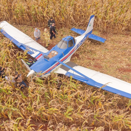 Falha na cauda obriga piloto a pousar avião em plantação de milho na região de Marialva