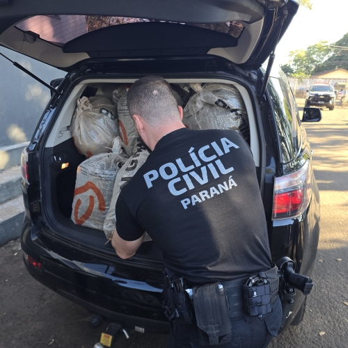 Mais de duas toneladas de drogas são incineradas durante operação da Polícia Civil de Maringá