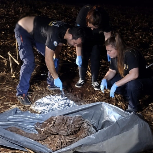 Ossada e projéteis são encontrados na zona rural de Floresta