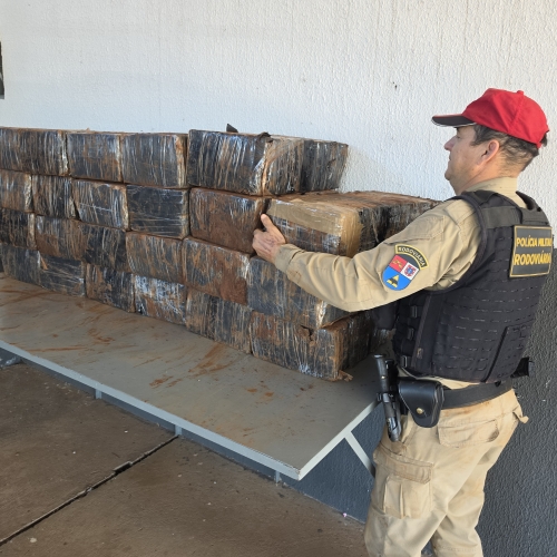 Mais de 20 fardos de maconha são apreendidos pela polícia na rodovia de Floresta