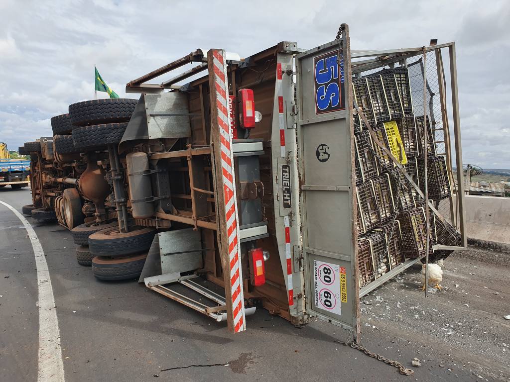 Carreta de frangos que transportava carga viva tomba no Contorno Norte