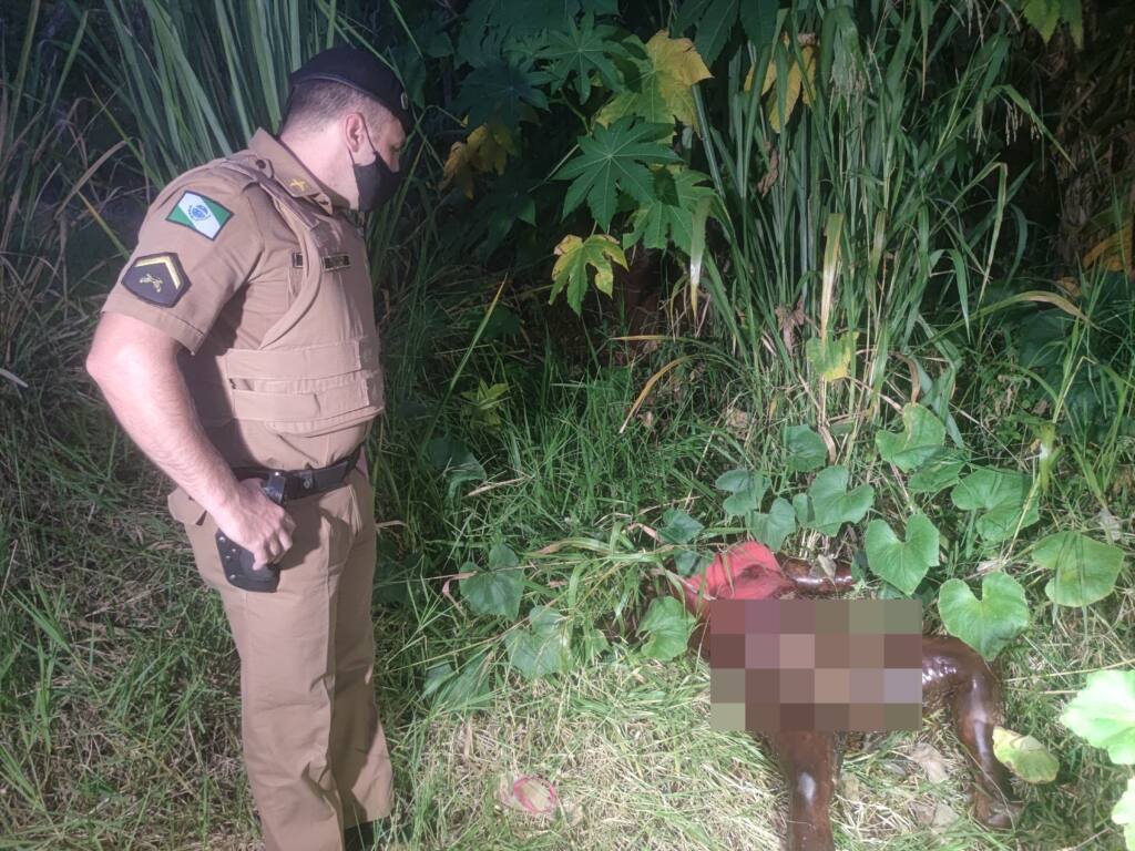 Mulher é encontrada morta em fundo de vale em Maringá