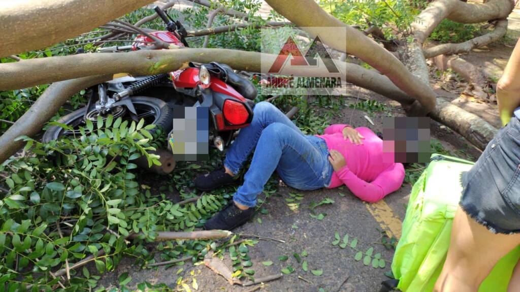 Mulher que pode ter sido jogada de viaduto está em coma na UTI