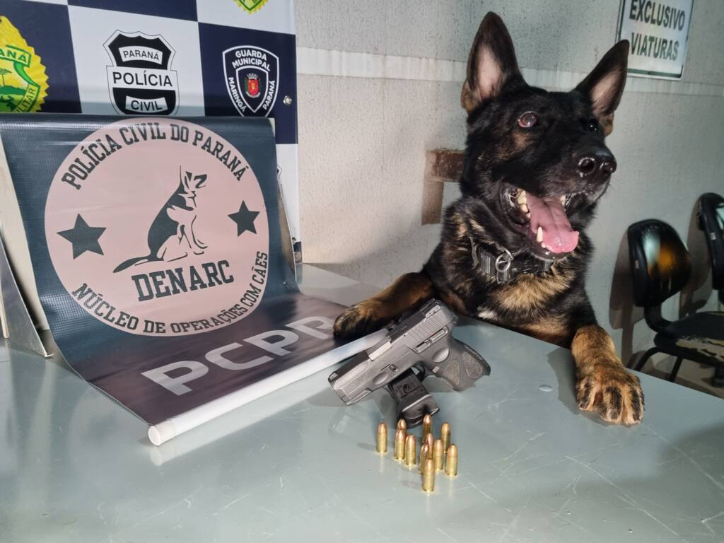 Denarc cumpre mandado de busca e apreende 9mm com um homem