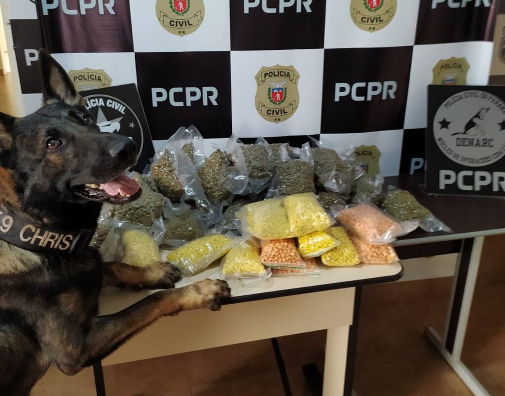 Denarc apreende mais de 12 mil comprimidos de ecstasy em Maringá