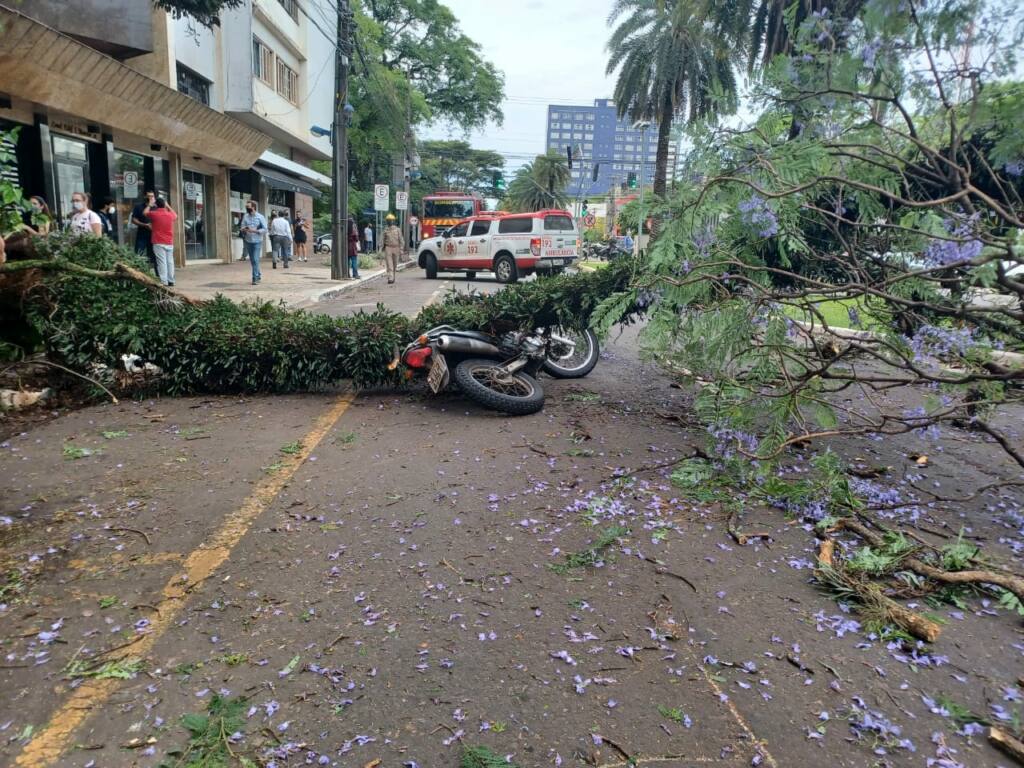 Árvore cai e atinge motociclista no centro de Maringá