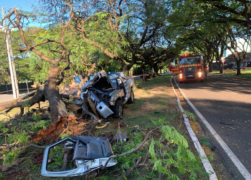 Motorista de camionete fica ferido ao bater contra árvore na Avenida Laguna