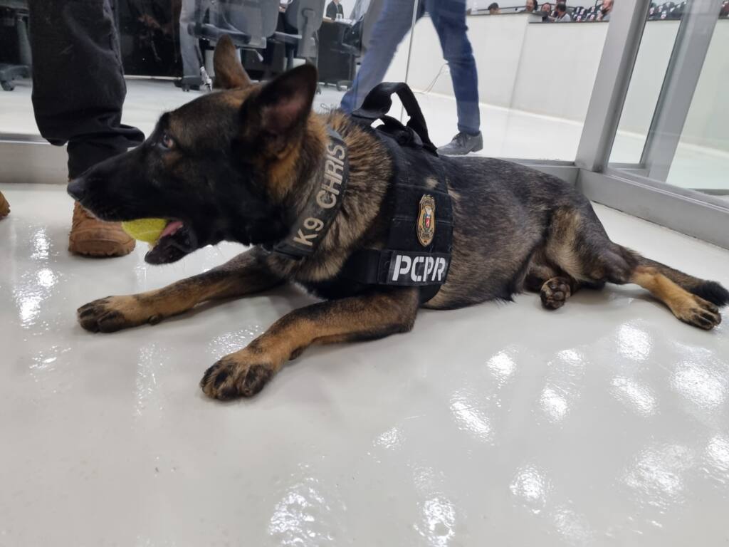 Cão farejador da polícia recebe homenagem da Câmara de Vereadores