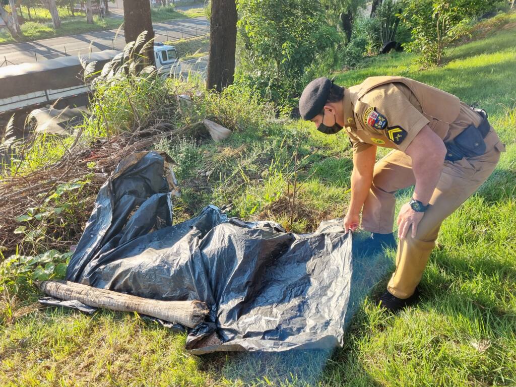 Homem é assassinado com tiros na cabeça na cidade de Mandaguaçu