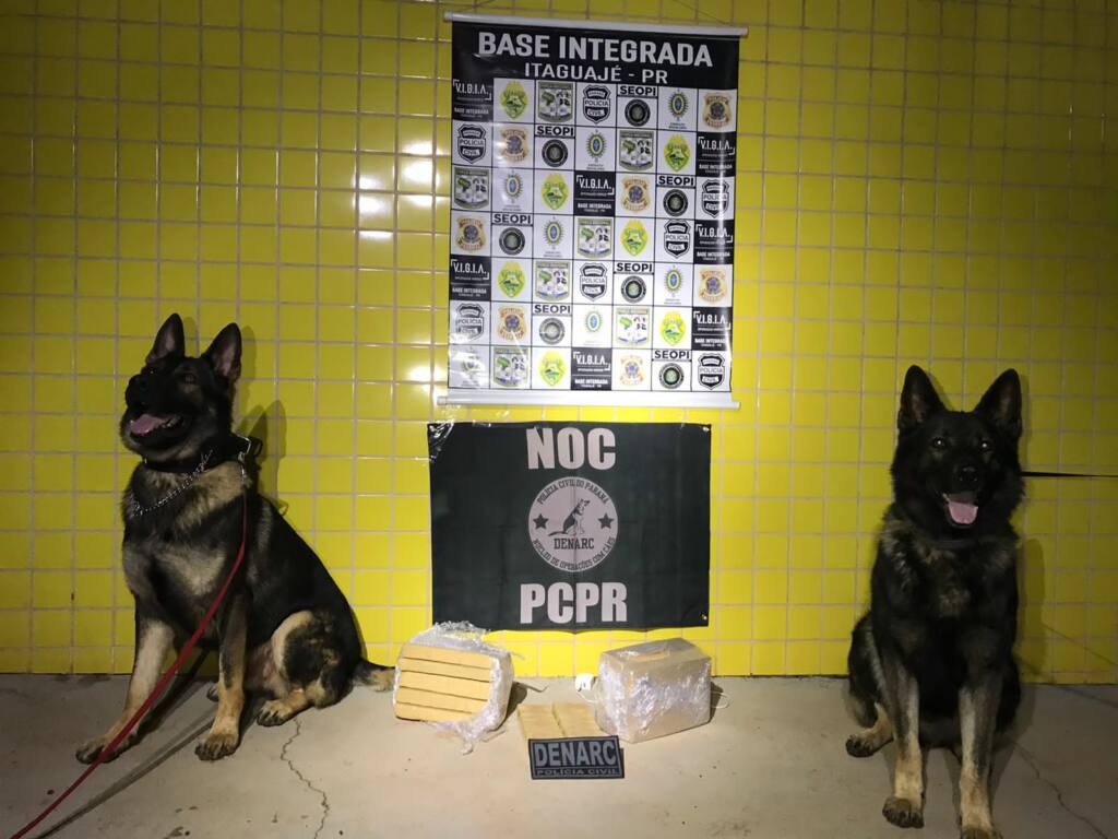 Denarc de Maringá apreende adolescente com maconha