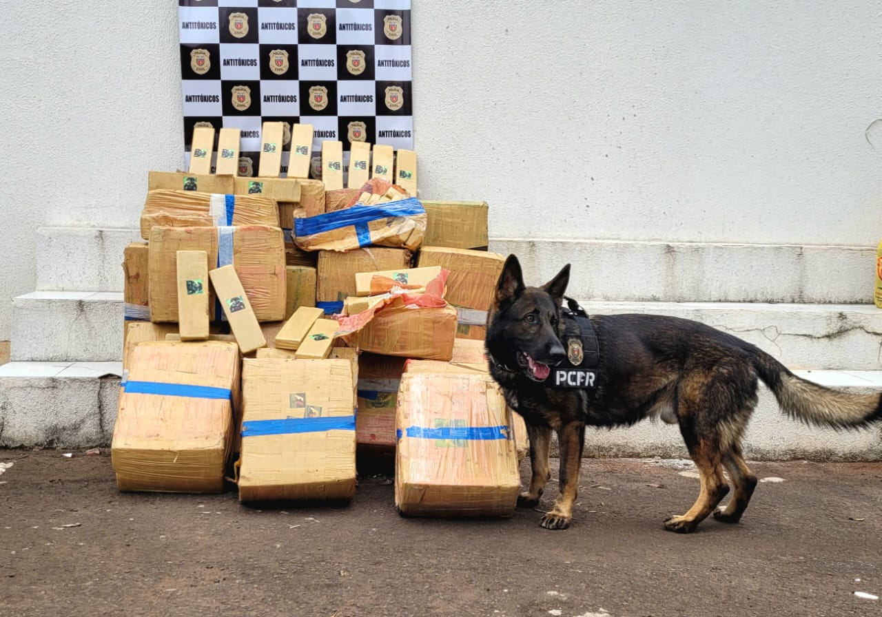 Caminhão com mais de 500 quilos de maconha é apreendido pelo Setor Antitóxicos da Polícia Civil de Maringá.