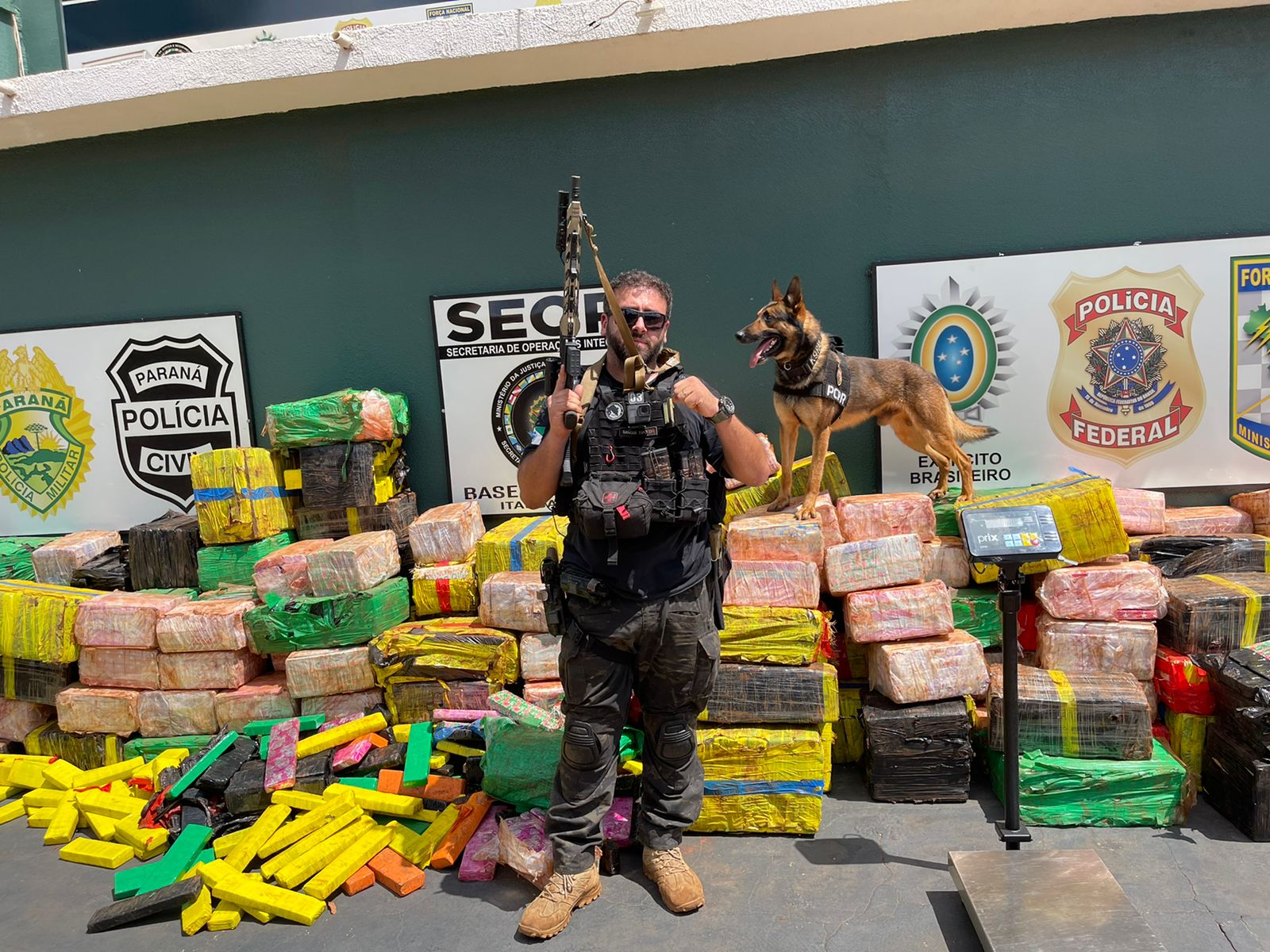 Denarc Maringá apreende 6 milhões em maconha na cidade de Santo Inácio