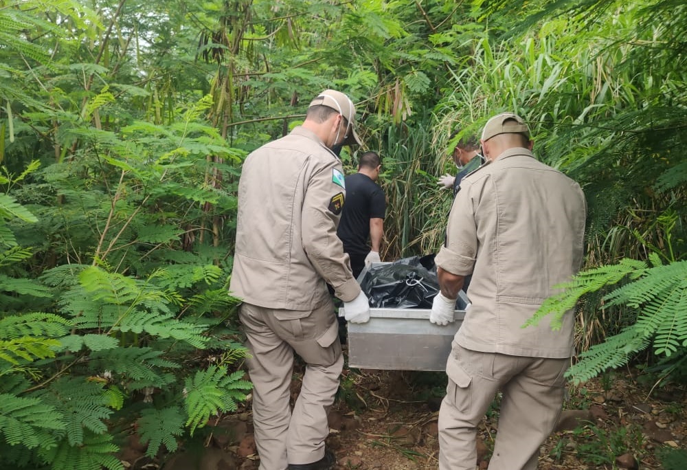 Corpo de homem é encontrado em córrego na zona rural de Maringá