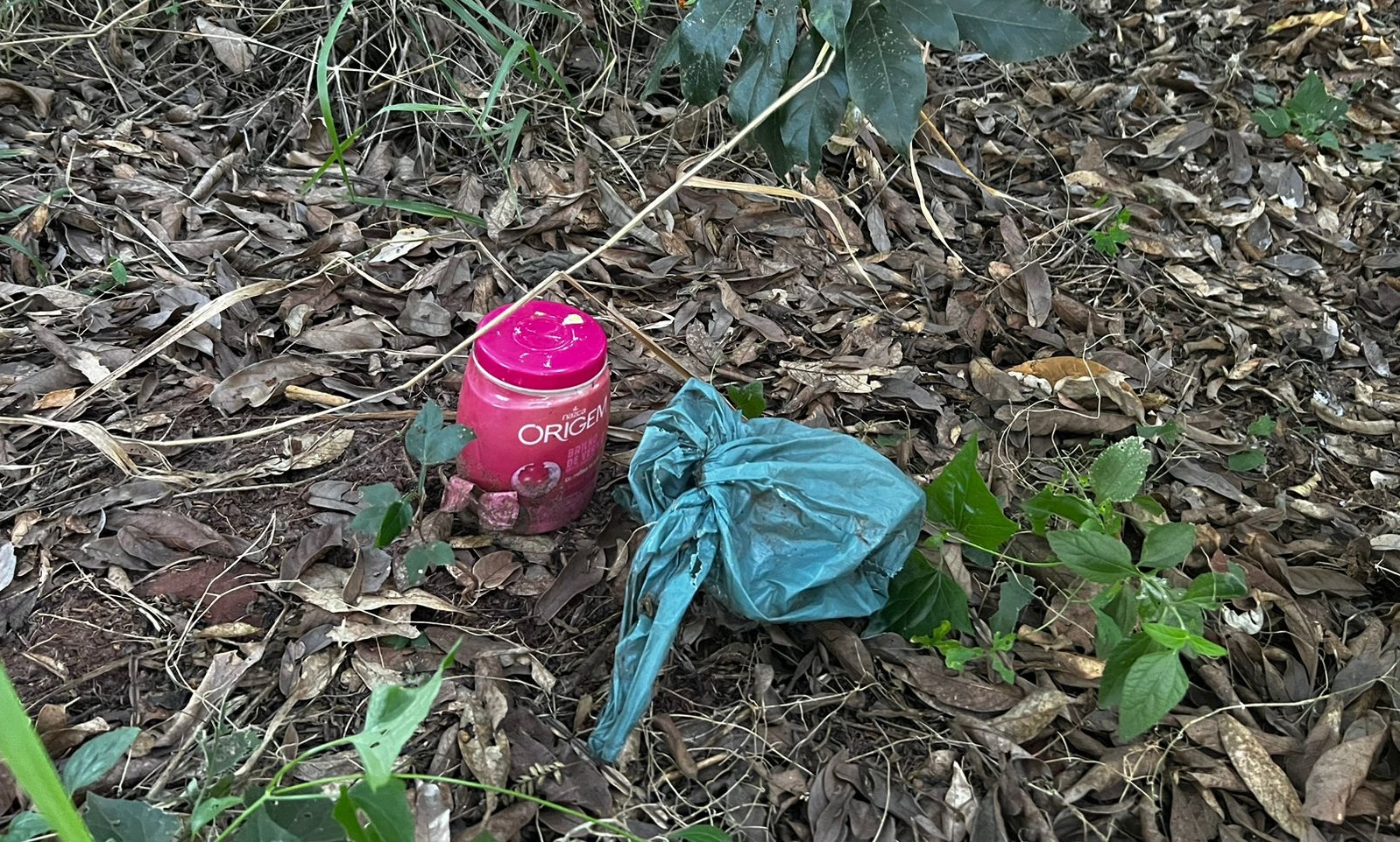 Feto é encontrado em bairro da cidade de Mandaguaçu