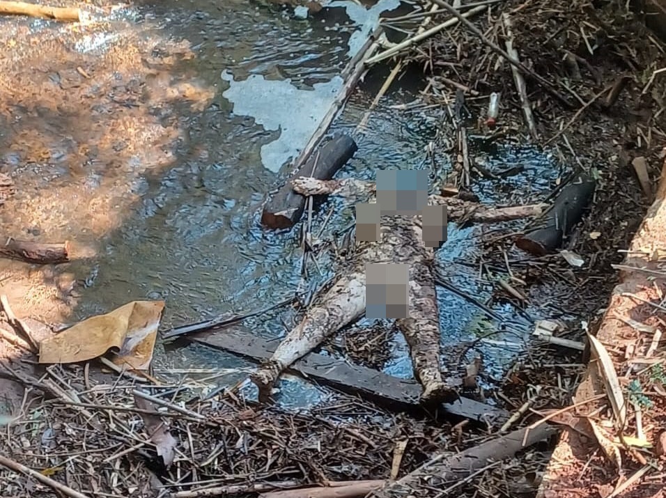 Mulher é encontrada sem a cabeça e nua em córrego de Maringá 